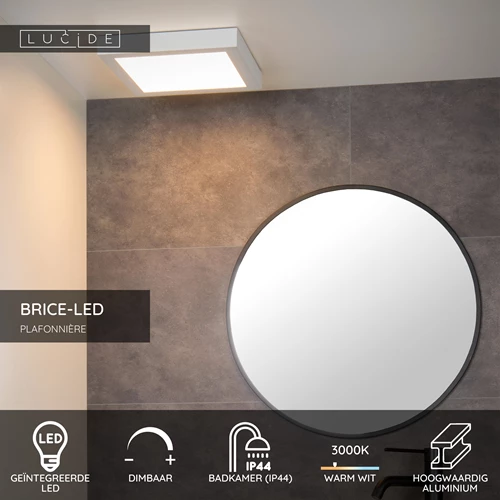 Lucide BRICE-LED - Plafonnière Badkamer - LED Dimb. - 1x30W 3000K - IP44 - Wit - USP
